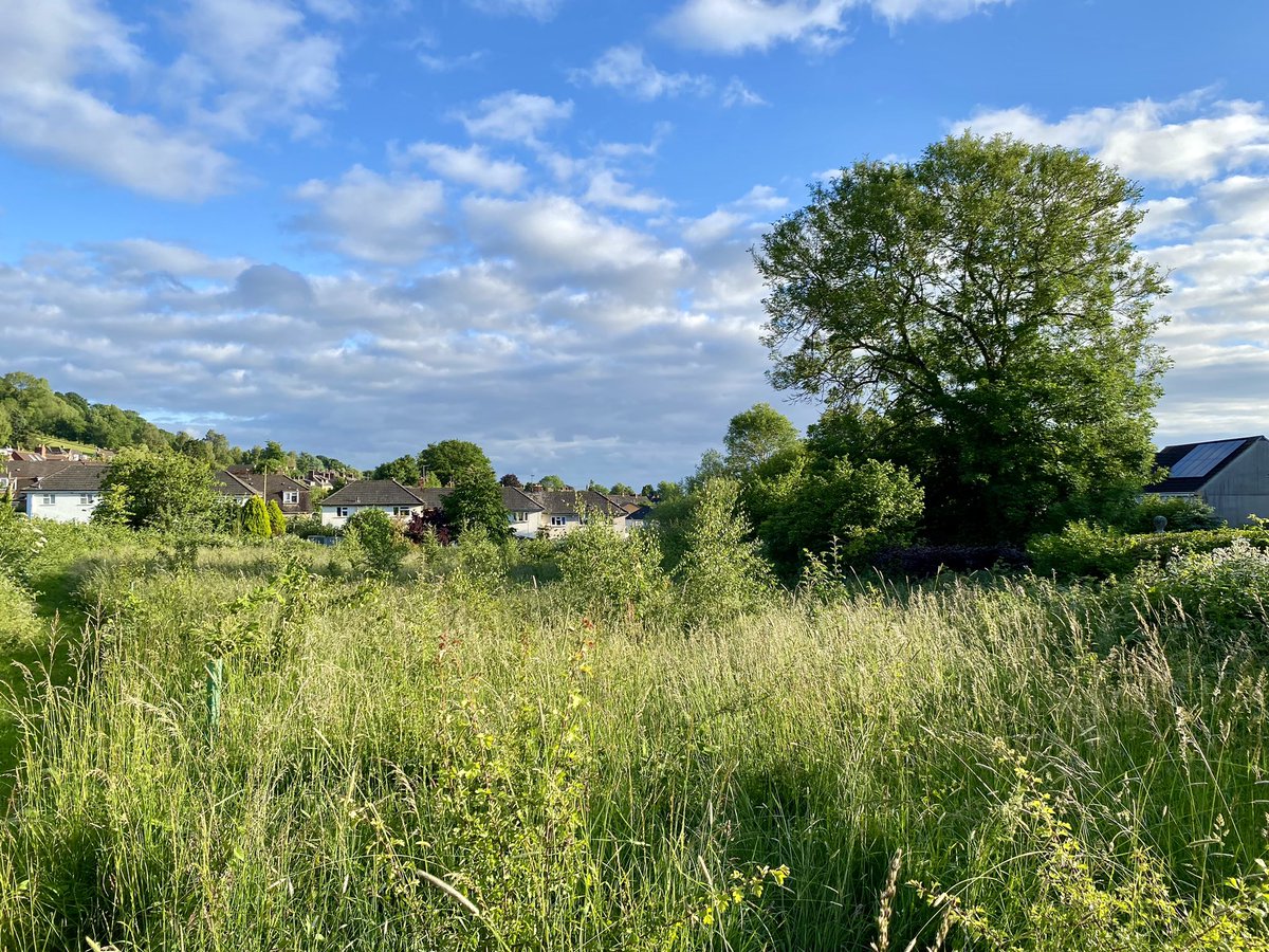 🌿 ‘This land is our land’ A great start to Wotton Walking Festival this evening, looking at community ownership of green space: at Conygre Wood, Coombe Hill, Streamsfield, Full Moon Wood &amp; Brown’s Piece. Thank you all 🌳
wottonwalkingfestival.com
