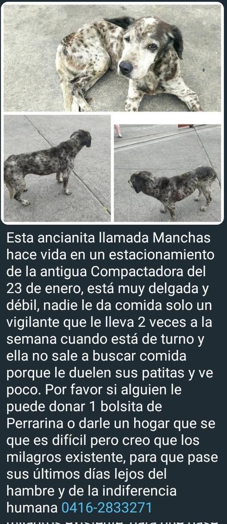JLLVARELA's tweet photo. Zona Caracas, Guarenas, Guatire ✌🏻🙏🏻🐶 https://t.co/PzYwKtLuXn