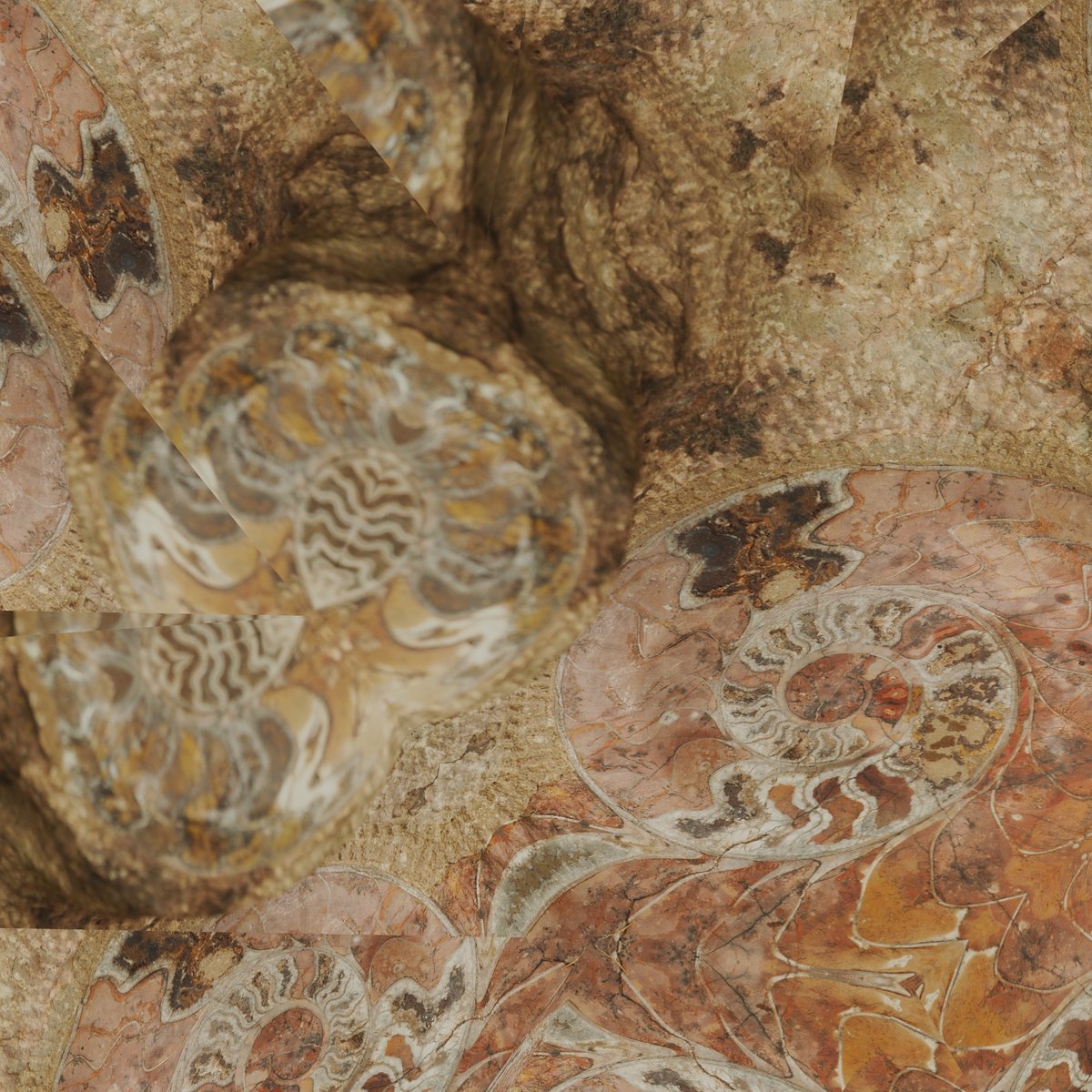 stdio_pike's tweet photo. Fossilite
#fossil #kaleidoscope #cgi #creativecode #blender https://t.co/4BfLCdhCf4