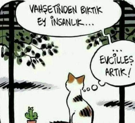 Bulut67609647's tweet photo. #şanlıurfadakatliamvar https://t.co/JDWnYOkX5f