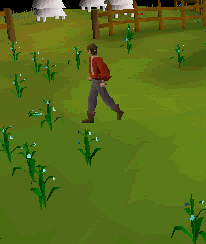 I know of mutuals who got CLEANED today.

But I have NO SYMPATHY AT ALL for anyone who got liquidated / "wiped out their account balance" EVER.

YOU CHOSE to go down that path.

YOU MADE THAT EXECUTIVE DECISION and CALCULATIONS based on your OWN MERIT what that money meant to