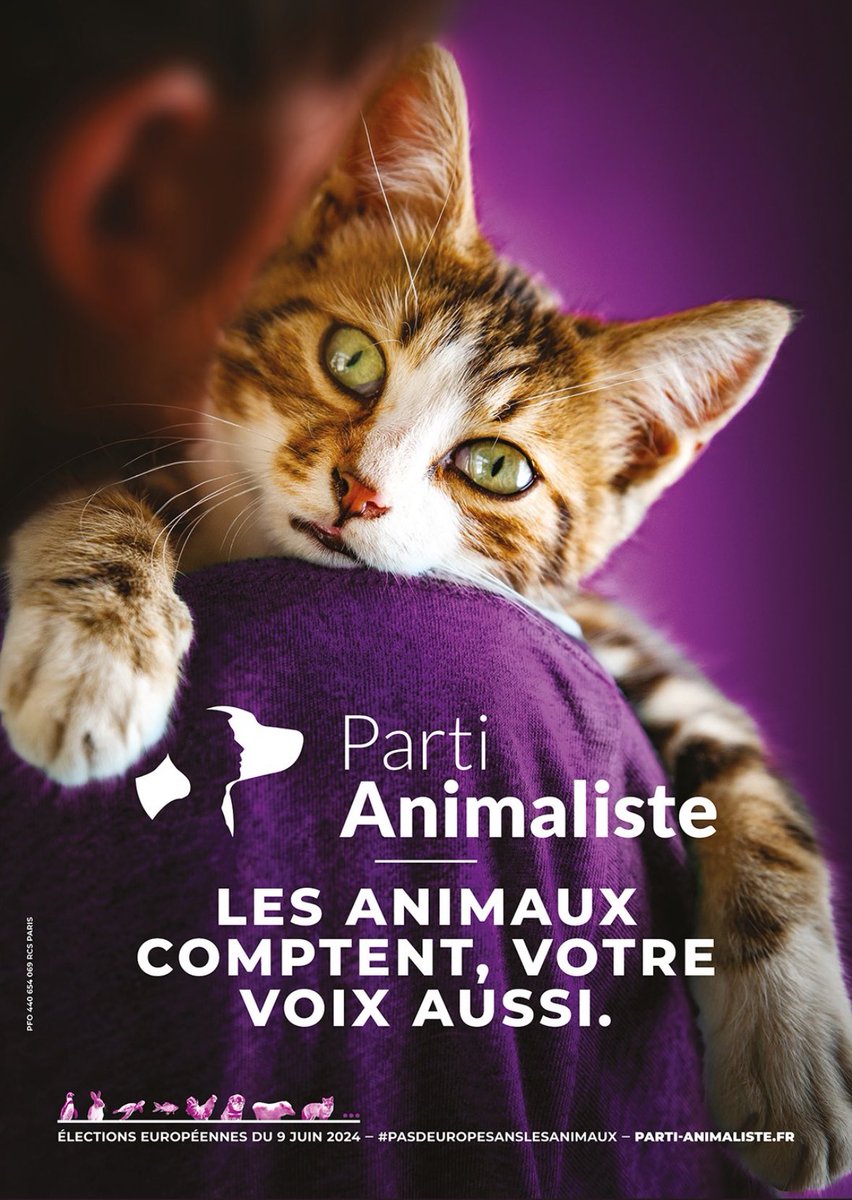 Rien ne les arrêtera ! Bruxelles les voilà ! 
#dimanche9juin #europeennes2024 UN SEUL TOUR, UN SEUL VOTE <a href="/PartiAnimaliste/">Parti animaliste</a> <a href="/HeleneThouy/">Hélène Thouy</a> #LesAnimauxComptent #PasdEuropeSansLesAnimaux