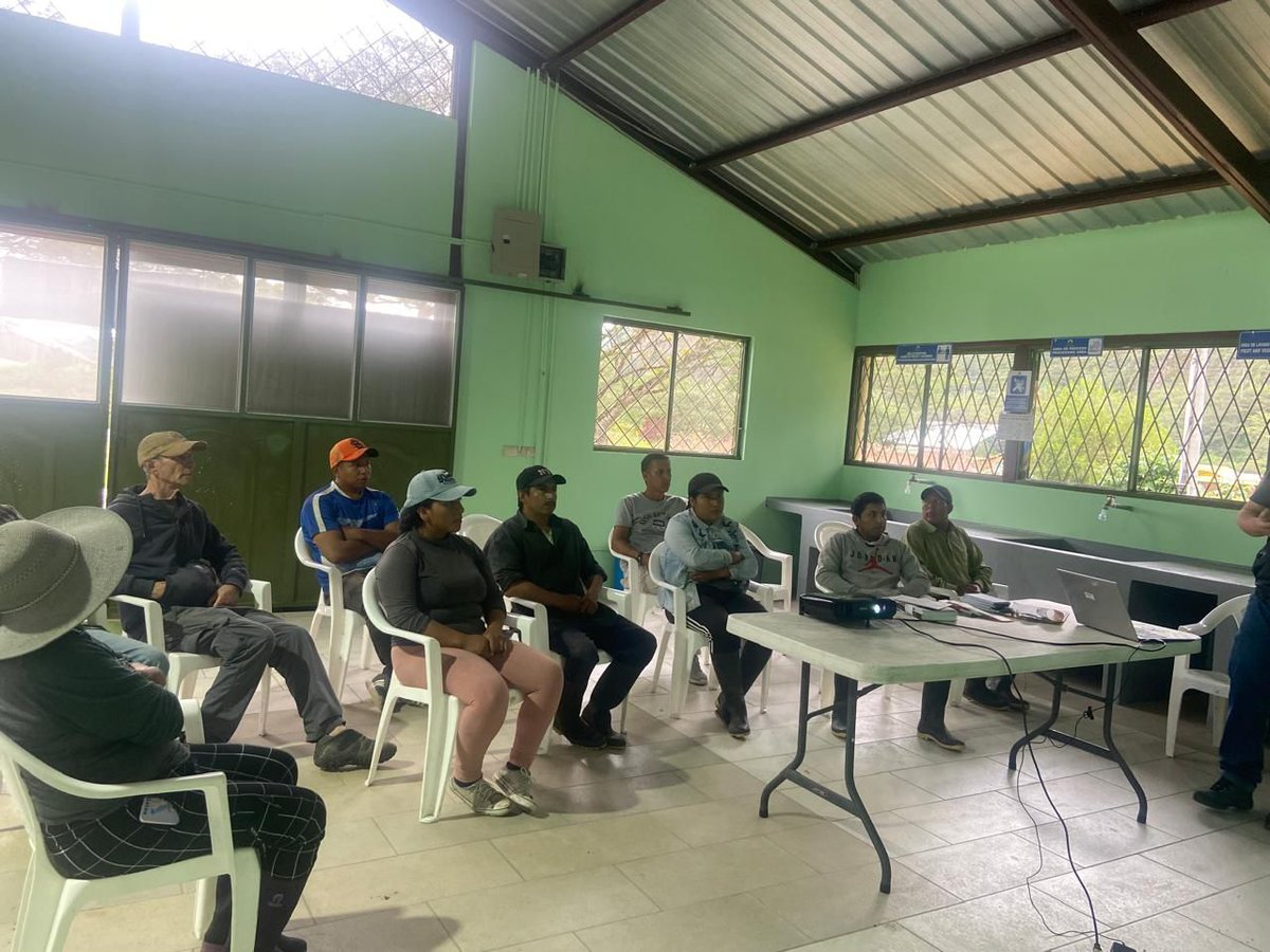 AgrocalidadZ6's tweet photo. #Azuay | En conmemoración del #DíaMundialDeLaInocuidaDeLosAlimentos, capacitamos sobre inocuidad alimentaria con enfoque en la producción primaria a productores con certificación orgánica, cantón Girón. #DMIA24 https://t.co/wyS12z7L3j