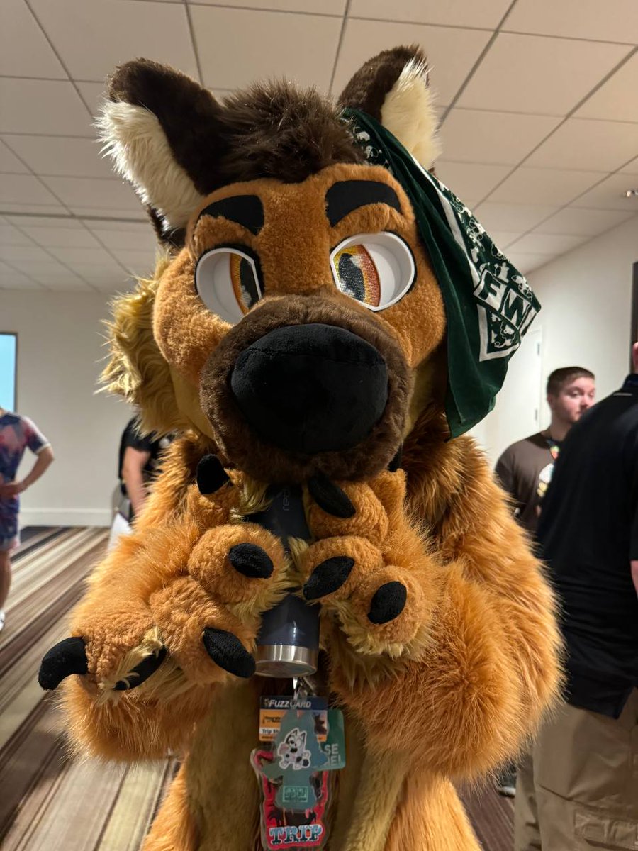 Remember to stay hydrated :3

📸: <a href="/DacWolf/">dac 🔜 mp</a> 

#fursuit #FursuitFriday