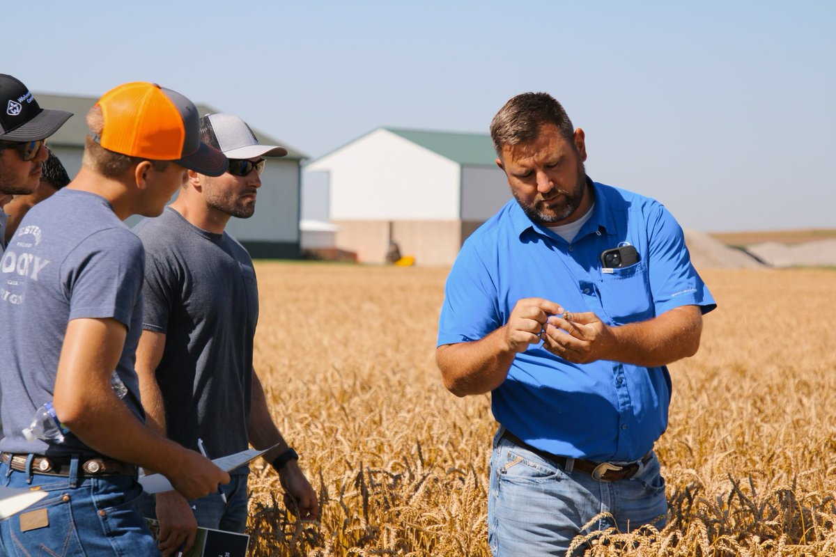 AgriMAXXWheat's tweet photo. Enjoyed hosting dealers today at our home office to look at our wheat plots! #highperformancewheat https://t.co/fryzGXf5Uh