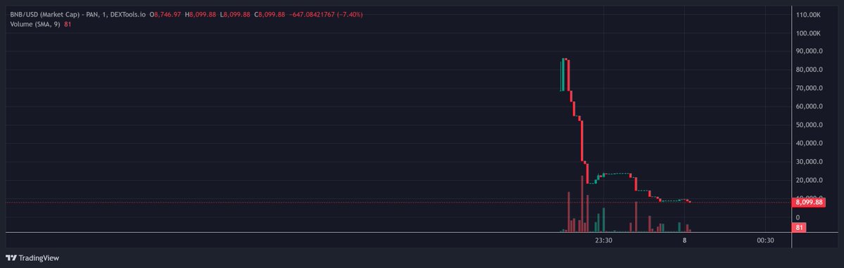 First Coin Made it to <a href="/PancakeSwap/">PancakeSwap</a> ! 
Congratulations... but then it went south!

Keep building on your communities degens, and learn to hodl!