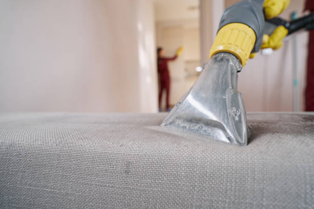 DryServ's tweet photo. At DryServ, we are committed to using safe and effective cleaning products. That's why we offer green cleaning services to our clients. Our eco-friendly products are safe for your family and pets while being effective in removing dirt and grime. #GreenCleaning #EcoFriendly https://t.co/ii6TYJxzA1