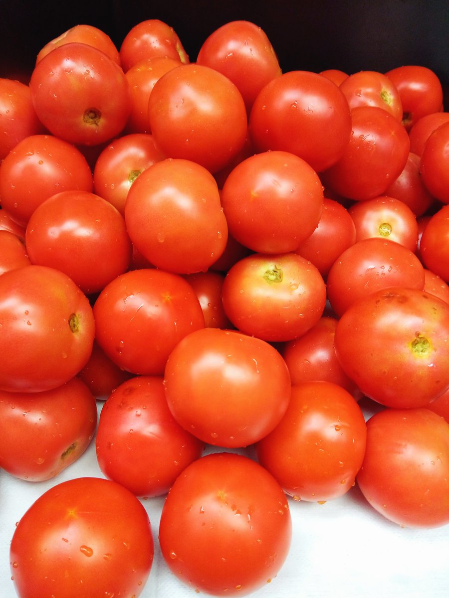 Onedove_LV's tweet photo. How I spend 30 minutes of my work night. ๐ช How about you?
#workphoto #Pictographs #sheworkshardforthemoney #vegetables #jobopening (j/k) https://t.co/5rzNgOvYfK
