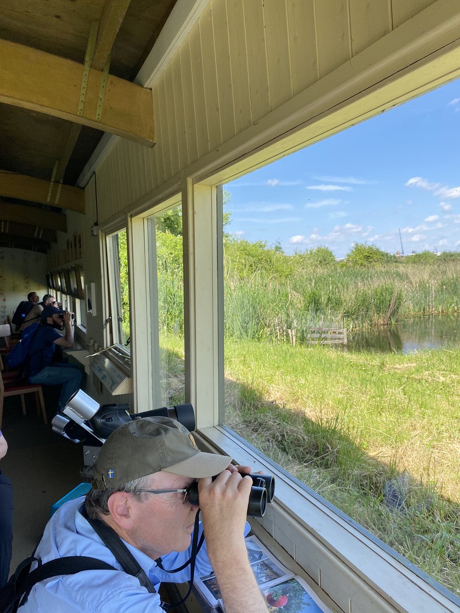 Gehan_de_Silva's tweet photo. Sun 2 June 2024, London Bird Club Walk @LondonBirdClub @LNHSoc to London Wetland Centre @WWTLondon . 49 bird species including Hobby plus orchids &amp; dragonflies. For free, guided nature walks in London, download the LNHS Programme on https://t.co/PycietwFUD https://t.co/W9nyLXgDvv