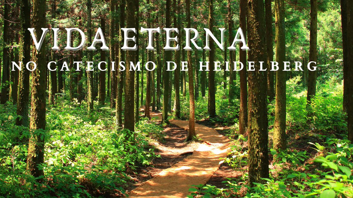 VozReforma's tweet photo. TEXTO VÍDEO PODCAST 
Acesse o link: https://t.co/Jx5mfk5H7B. https://t.co/Z8MYfO6FXy