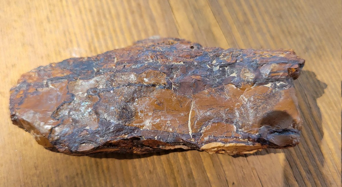 NatHeathirPhoto's tweet image. Ok, geology friends!!!  Just found this on Hwy 86 outside Baker City.  (Side of the road)  Chert????  Been a while since geology classes in college.  #geology #chert