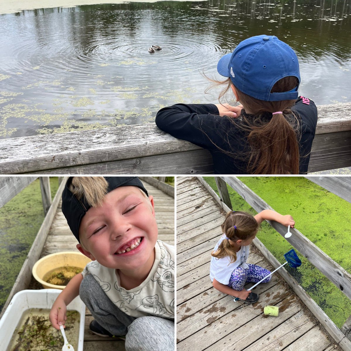 MmeBishopFI's tweet photo. What a wonderful field trip to @CataraquiCA !! We went for a nature scavenger hunt, built structures in the forest and went pond dipping for creatures! A beautiful day to explore and appreciate nature together 🌳🪺🌏 @EcoleMaple_LDSB https://t.co/6iyDQCqBPf