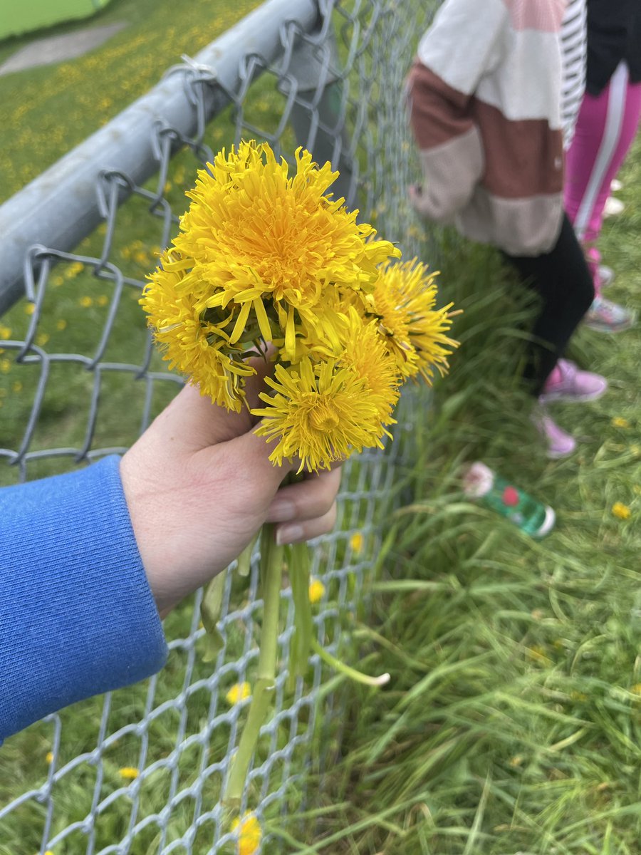 Jillian Gallant (@msgallant_tl) on Twitter photo Sports day is not about winning ribbons. It’s about patience, teamwork, perseverance & fun! Teachers are cheerleaders & connections are solidified! Grateful for my bouquets today.❤️Thank you <a href="/debbieshortall1/">debbieshortall@nlesd.ca</a> . You’re simply the best! 👏 <a href="/VElementary/">Vanier Elementary</a> <a href="/NLSchoolsCA/">NLSchools</a> <a href="/NLActiveSchools/">NLActiveSchools</a> Sports day is not about winning ribbons. It’s about patience, teamwork, perseverance & fun! Teachers are cheerleaders & connections are solidified! Grateful for my bouquets today.❤️Thank you <a href="/debbieshortall1/">debbieshortall@nlesd.ca</a> . You’re simply the best! 👏 <a href="/VElementary/">Vanier Elementary</a> <a href="/NLSchoolsCA/">NLSchools</a> <a href="/NLActiveSchools/">NLActiveSchools</a>