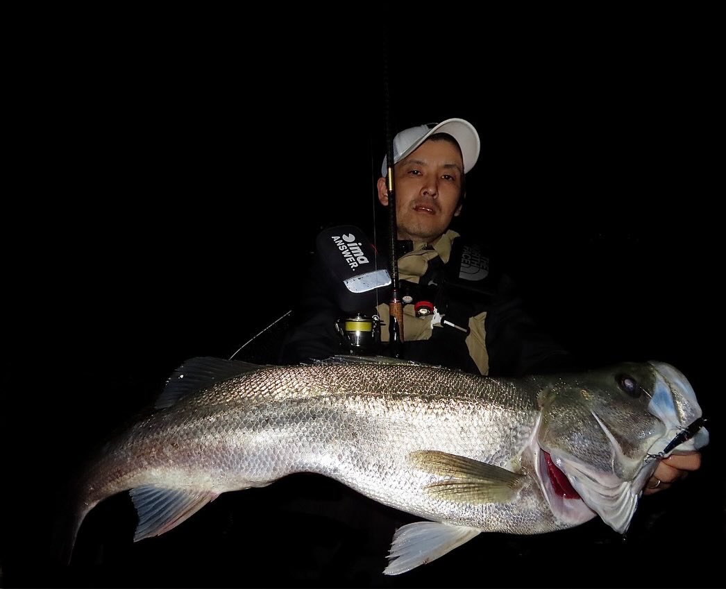 suzu_fishing_'s tweet photo. 昨夜この時期にしては、コンディションも良い魚でした。普段バイブレーションは全く使わないのですが、今回は使用してみました。　　
#山陰　#島根　#鳥取　#中海　#宍道湖　#seabass #鱸　#釣り　#釣り好きな人と繋がりたい  #apia #daiwa  #22イグジスト4000xh #baygogo #敏腕バイブ  #ベイゴーゴー https://t.co/UT5l08tSUZ