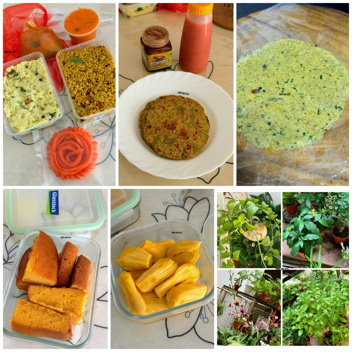 Somasray's tweet photo. Yesterday, I was at the Potong Pasir area, got the Pongal & Tamarind rice, Kesari Bhaat, Jangiri again! I made some roasted Bengal Gram flour & Whole-Wheat chapatis, cakes keep happening, jackfruit I like! I cross-passed the plant shop! #twittershop https://t.co/FMKxYUh5AE