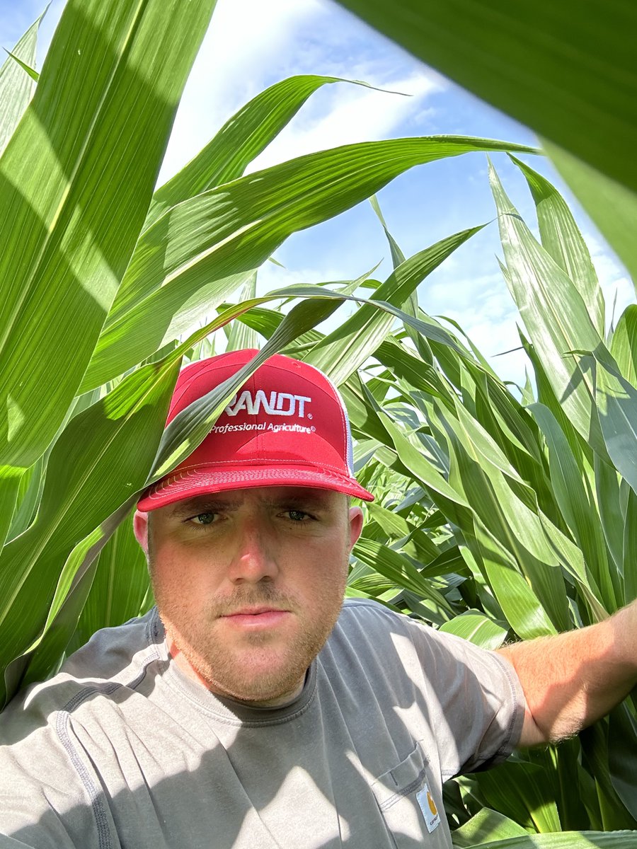 eric_winans's tweet photo. March 28th planted corn is in it’s rapid growth phase 🌽 https://t.co/cC3203T5lg