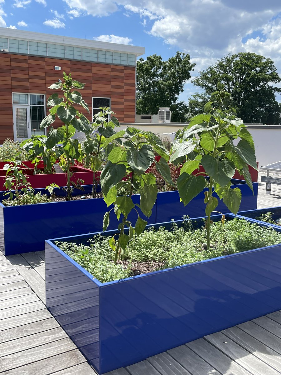 Ronda Janiski tweet media