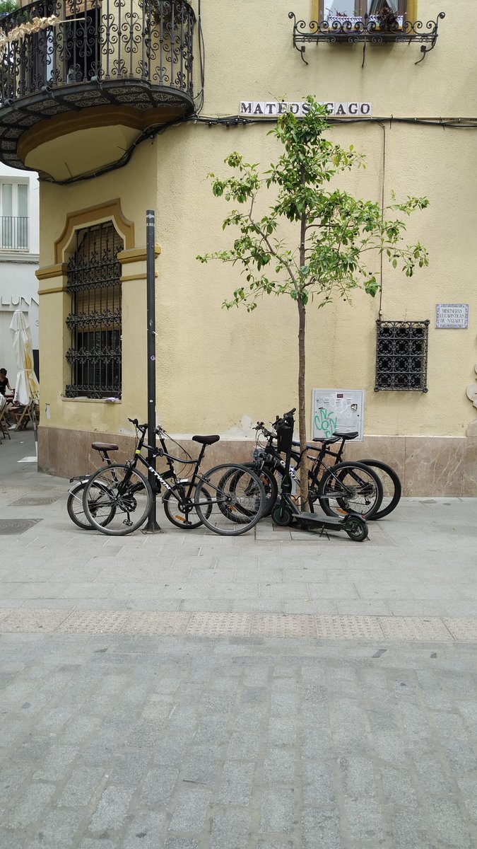 mart20223's tweet photo. @SevillaSeMuere Si las cosas estuvieran preparadas , si las personas no invadieran los espacios de los demás...es que parece q vamos para atrás... https://t.co/1cYJ5ClYKP