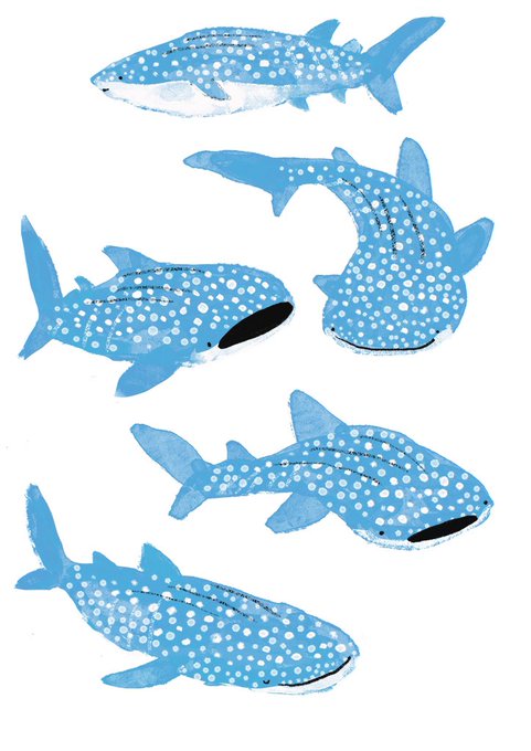 「fish simple background」 illustration images(Latest)