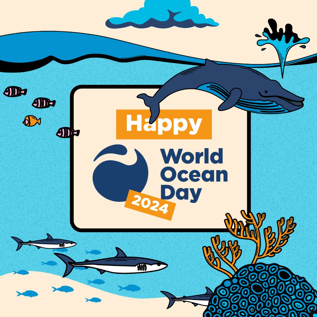 Ocean Impact Organisation tweet media