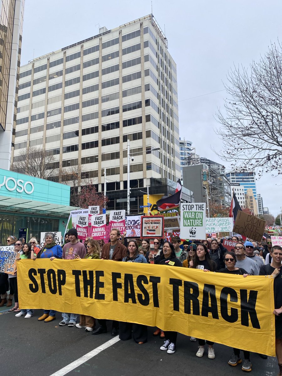 New Zealanders saying enough is enough #stopthewaronnature