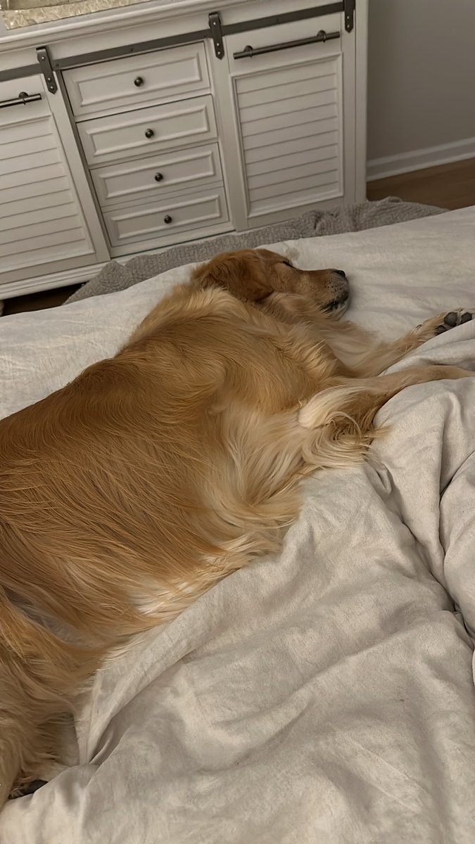 BeauNoseBones tweet media