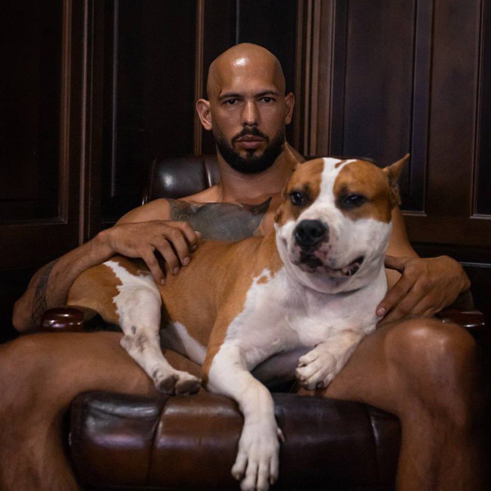 thunderdegen's tweet photo. if ansem’s cat went to 150mil from my 200K call

let’s see what tate’s dog can do

the ticker is $g

@Cobratate @andrewtatedogg https://t.co/PVxLSx761b