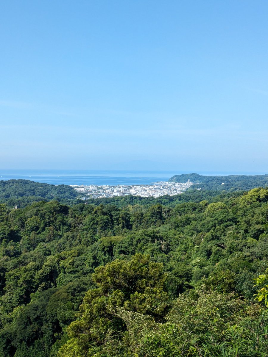 salsa_single's tweet photo. 風が👍 https://t.co/lQc8RKWwxr