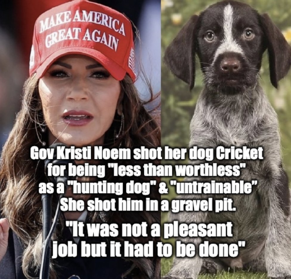 hartemus's tweet photo. @KristiNoem https://t.co/D0FxlU5fpw