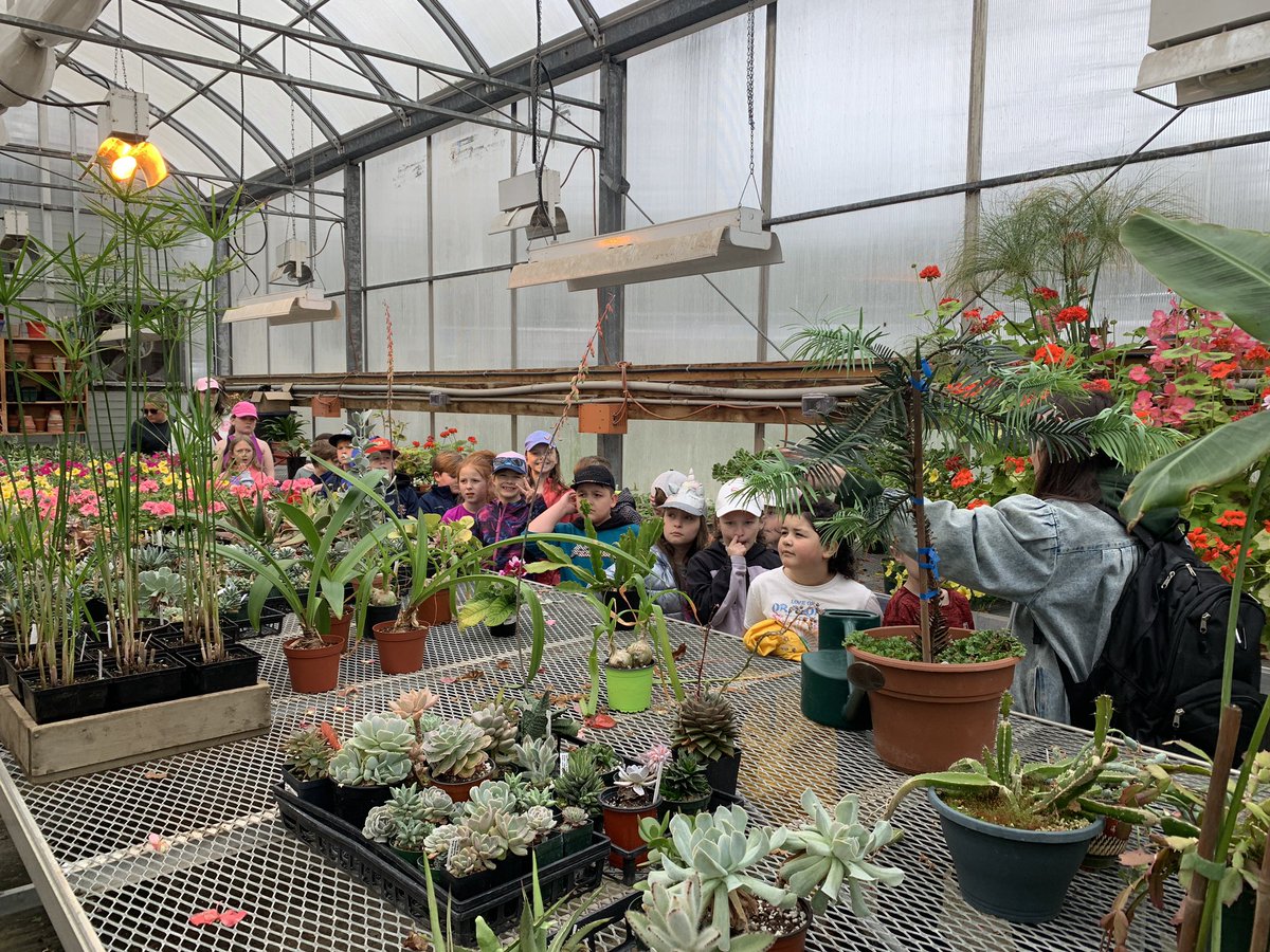 We had the best time at MUN Botanical Gardens today! <a href="/AdmiralsAcad_NL/">Admiral’s Academy Navigators 🏳️‍🌈</a>
