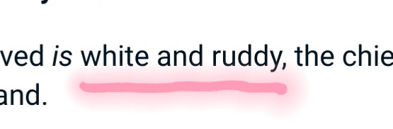 𝔅𝔯𝔦𝔞-ℜ𝔬𝔰𝔢 🇦🇺 tweet media