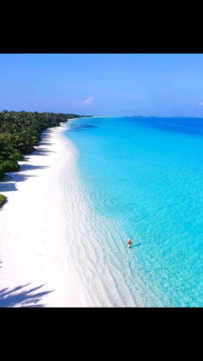 Wayne Jumper tweet media