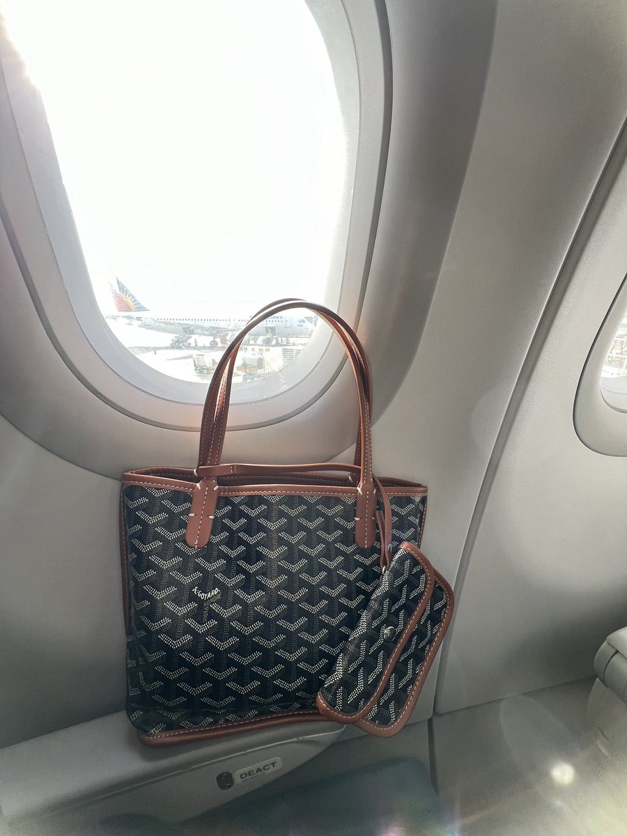 mitzicrayyy's tweet photo. Happy 1 year my go to bag goyard anjou mini 🤎 https://t.co/EP0dPfn4W1