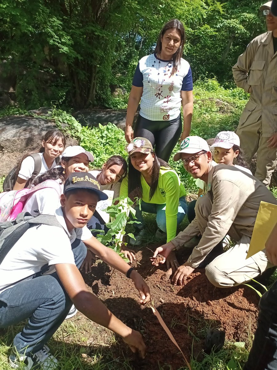 🍃 Como parte de las actividades planificadas para la semana del Ambiente y del aniversario de la <a href="/misionarbolven/">Fundación Misión Árbol</a> , se organizó un senderismo y una  jornada de plantación en el Fortín Cerro el Zamuro y así conocer los atractivos naturales e históricos de este emblemático lugar,