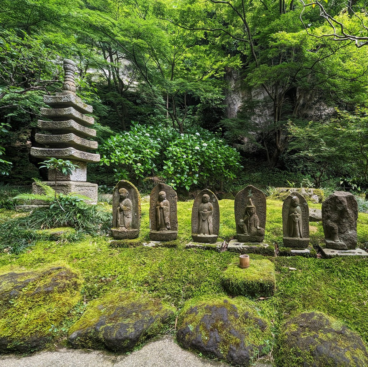 900hz's tweet photo. a quiet morning and listening to a bush warbler singing at the Hokokuji temple - https://t.co/A6nD1fNRmp