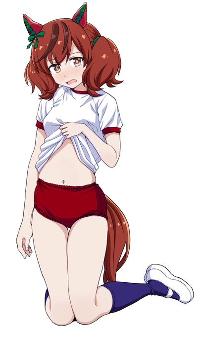 ナイスネイチャ ブルマ 