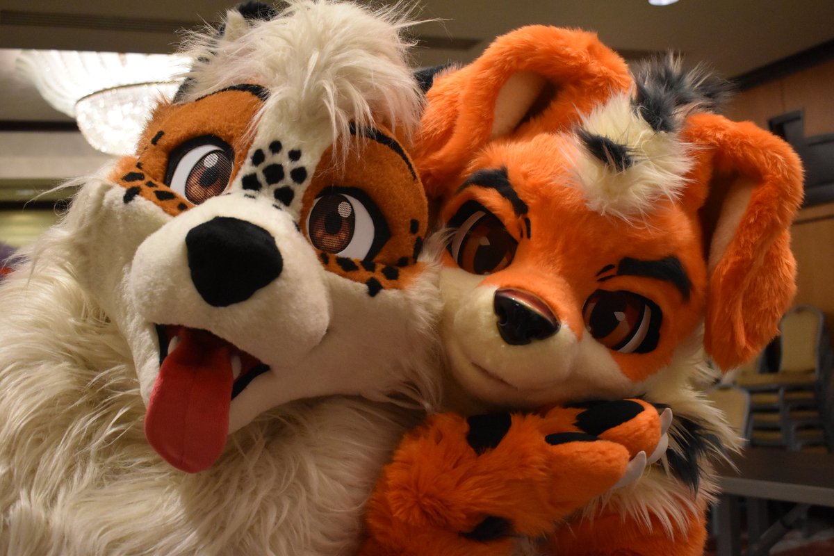 Tempo_Arcanine's tweet image. Not a single thought between these two Arcanines!

Ft @KoinuArcanine and myself

Suit: @PJCatStudio 
Photo: @Mance1462 

#FursuitFriday