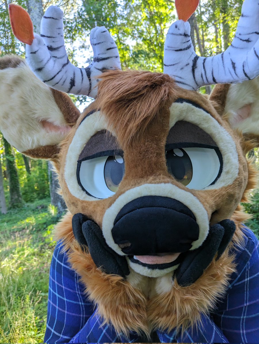 Birch 🍂🦌 tweet media