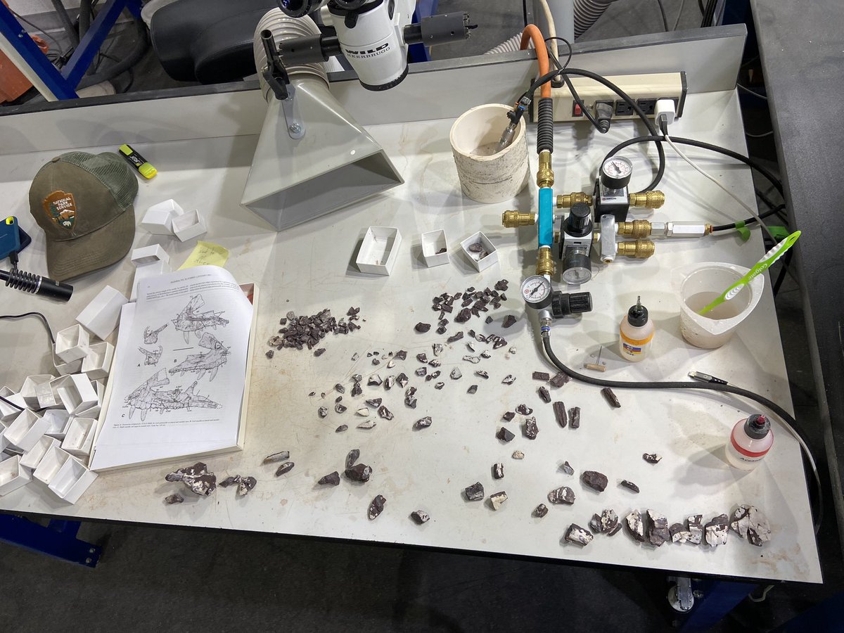 Adam Marsh tweet media