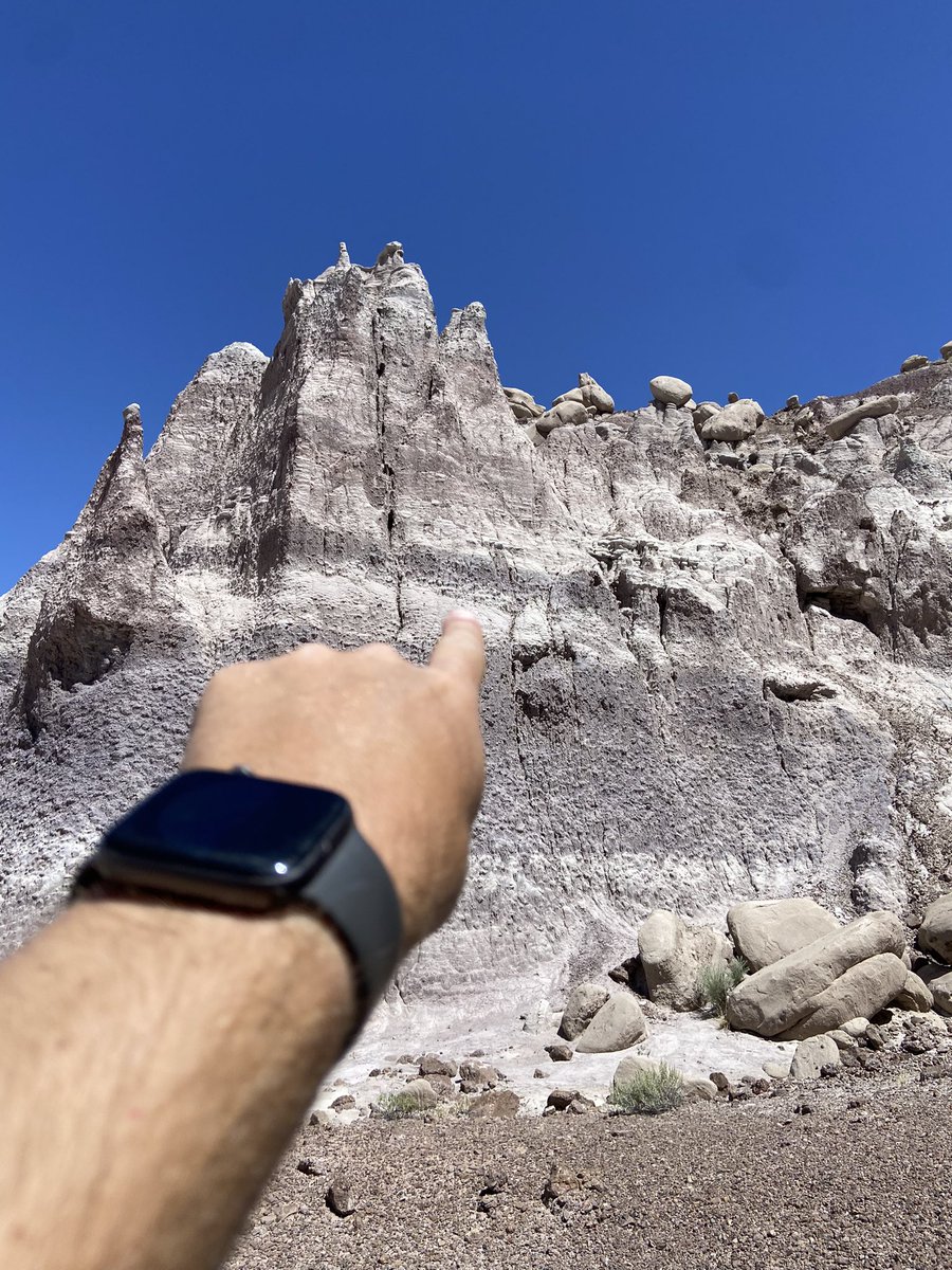 Adam Marsh tweet media