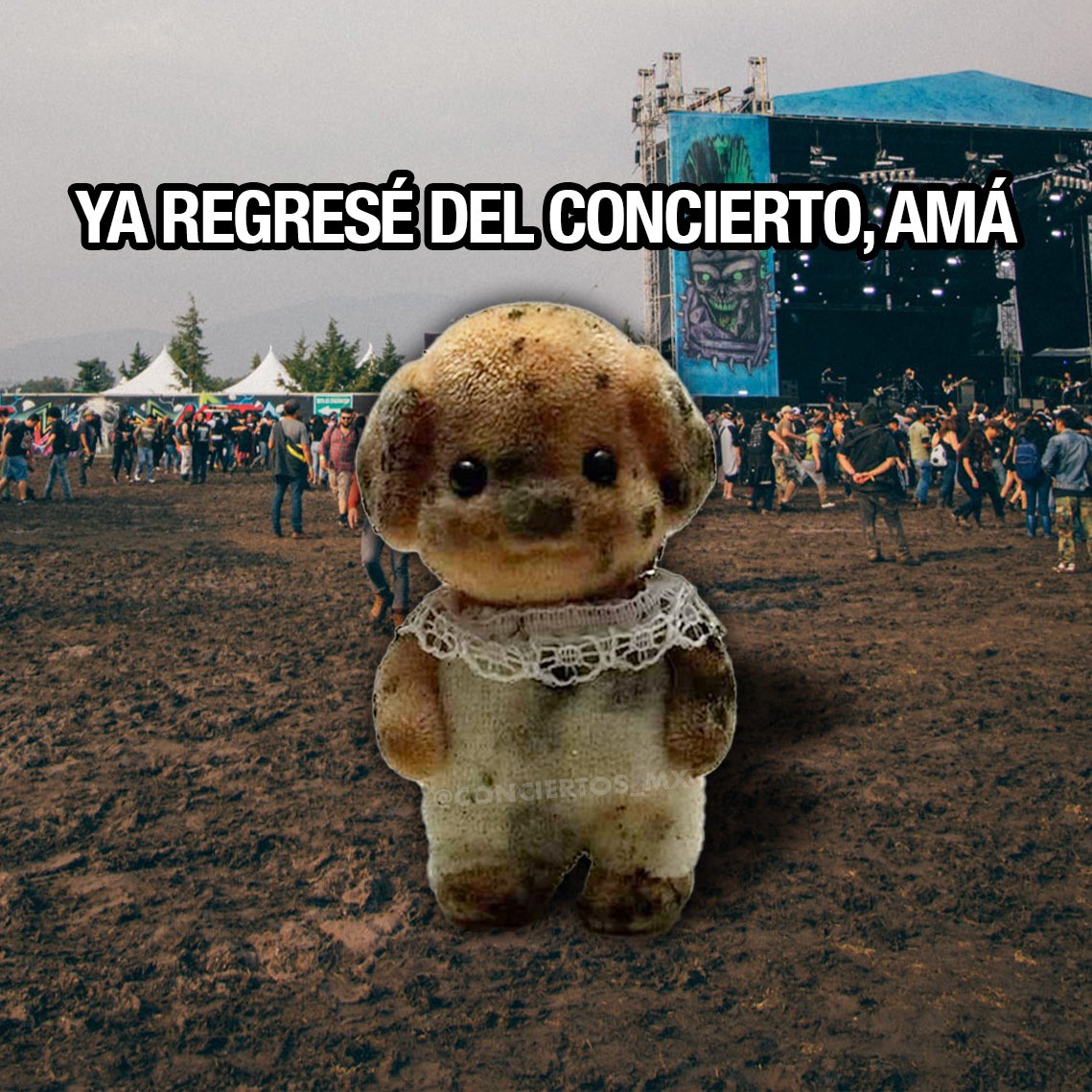 Conciertos México tweet media