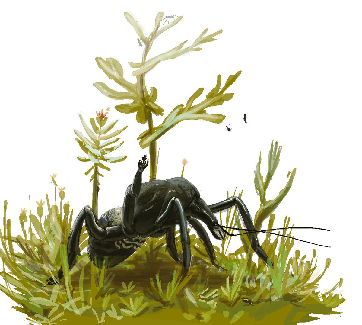 Various groups of bumblebees lost flight altogether, now nectar was unreliable for such forms instead they opted for sap ,before them a few small specialist and larvae feed on it ,but against a megafaunal arthropod there’s little you can do to stop it #Bivalvopia