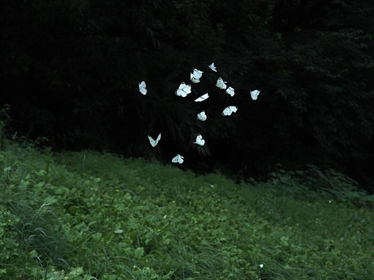 xe0_xeo's tweet photo. Quatre Saisons, Takako Ugachi (2020) https://t.co/SbN0bgfcSE