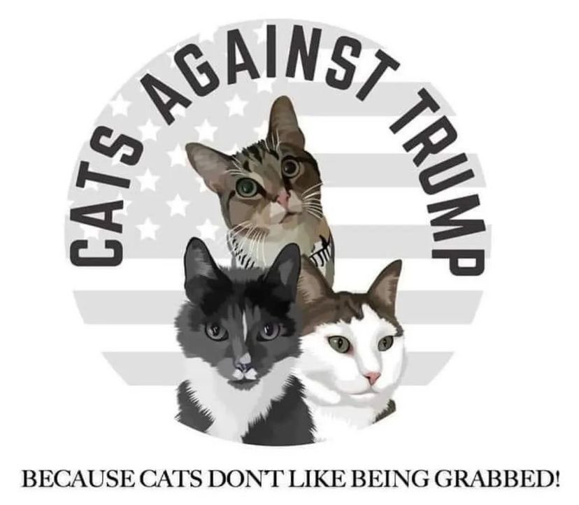 lindaworkerbee's tweet image. #PetsForBiden