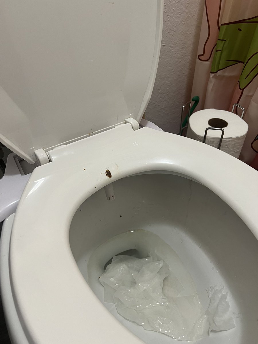 ๐ toilet clogging slut ๐ tweet media