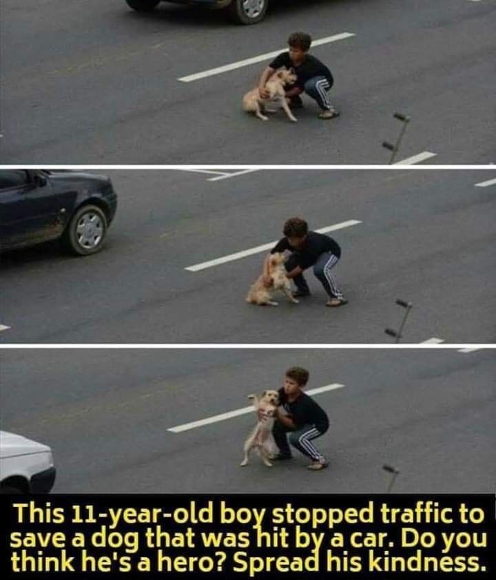 Dalbodog's tweet photo. A real superhero https://t.co/o2P7FXnanP