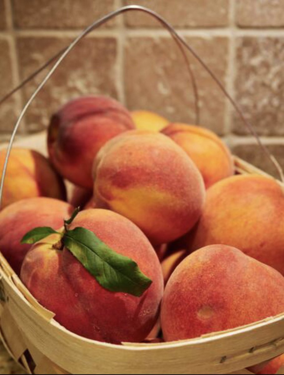 Nimrabu55782621's tweet image. 🍍🥭🍊🍑🍉🍎🍒🍓
Good day Khan G❤️
And Everyone 🌹
#FreshFruits
#beautifulday 
#FreshSkin