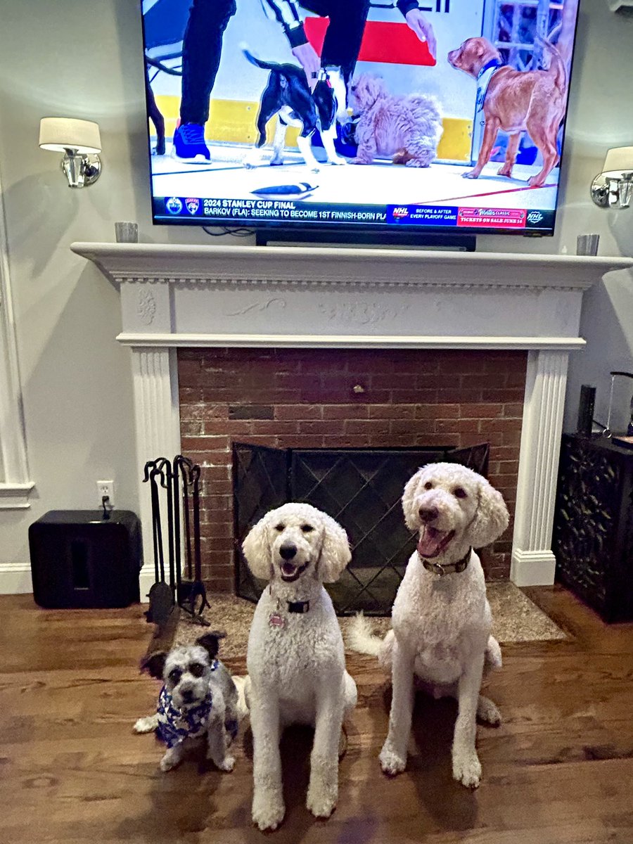 Todd Hanna tweet media