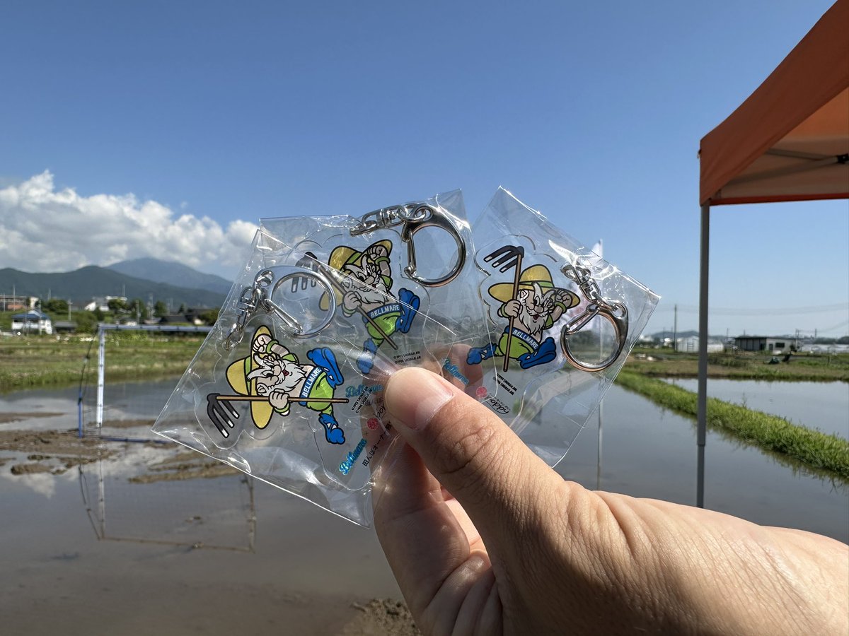 湘南ベルマーレ tweet media