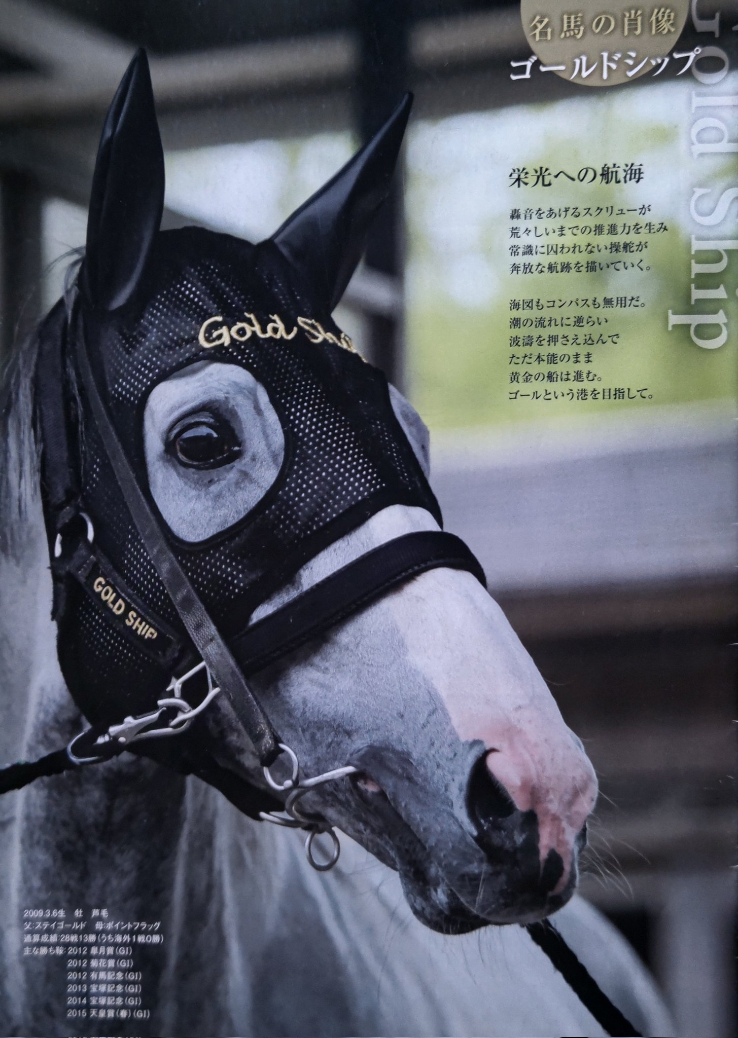 名馬 競馬 アクリルオブジェ 置物 ステイゴールド（ステイゴールド 